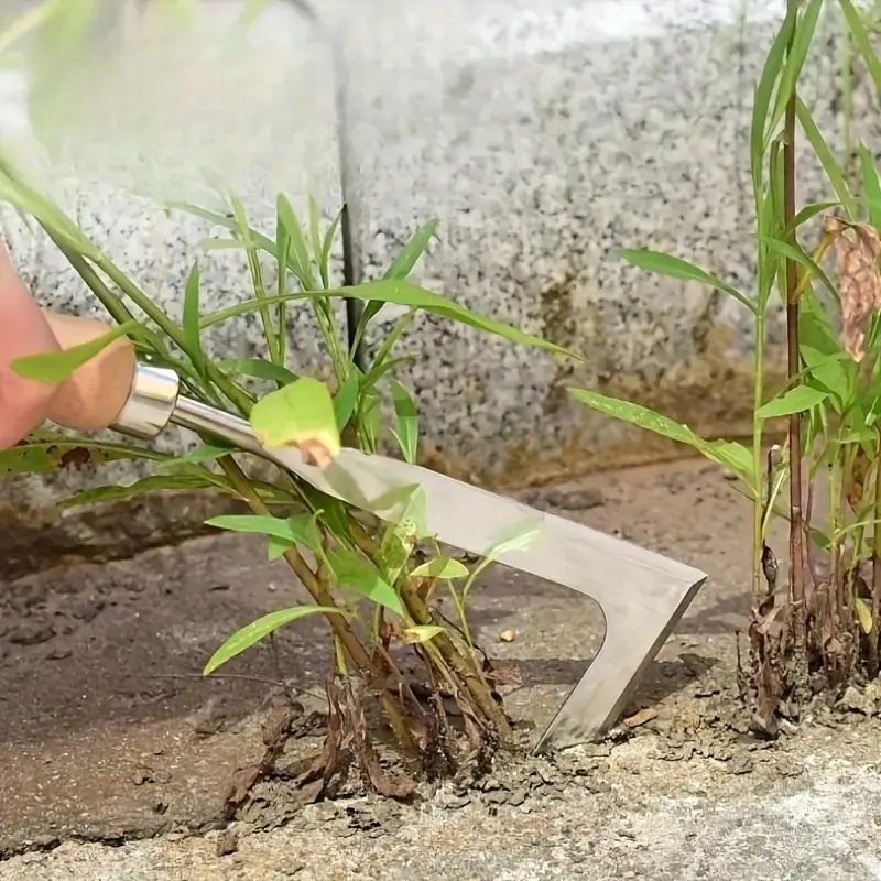 Pá manual de aço carbono resis - Gardening Tools Spade avaliação e preço