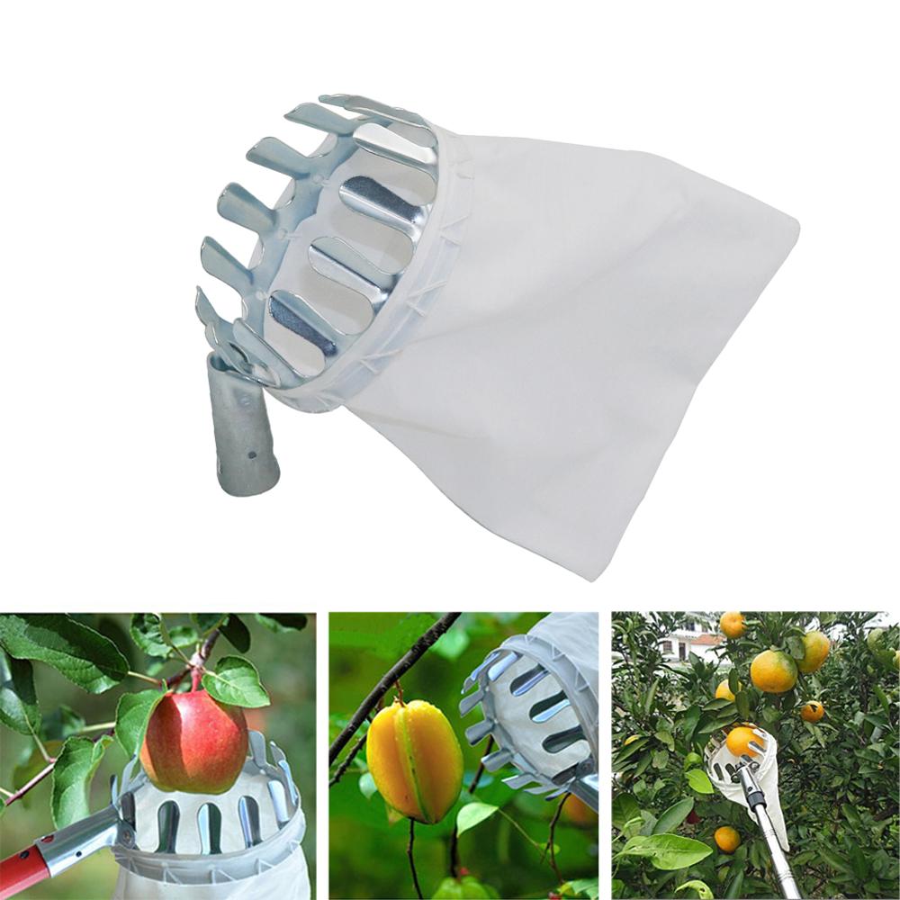 Jardim poda selecionador de fr - Gardening Tools Long avaliação e preço