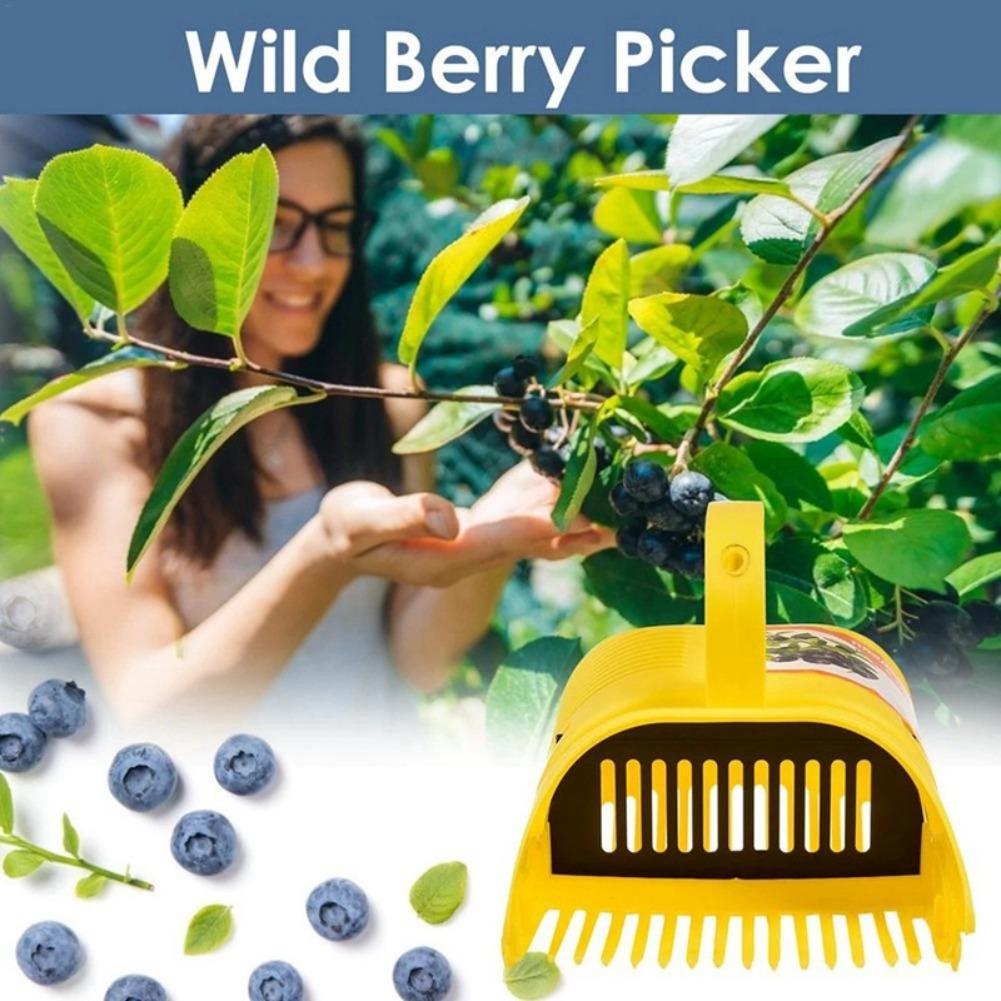 Ferramenta Portátil para Colhe - Gardening Tools Basket avaliação e preço