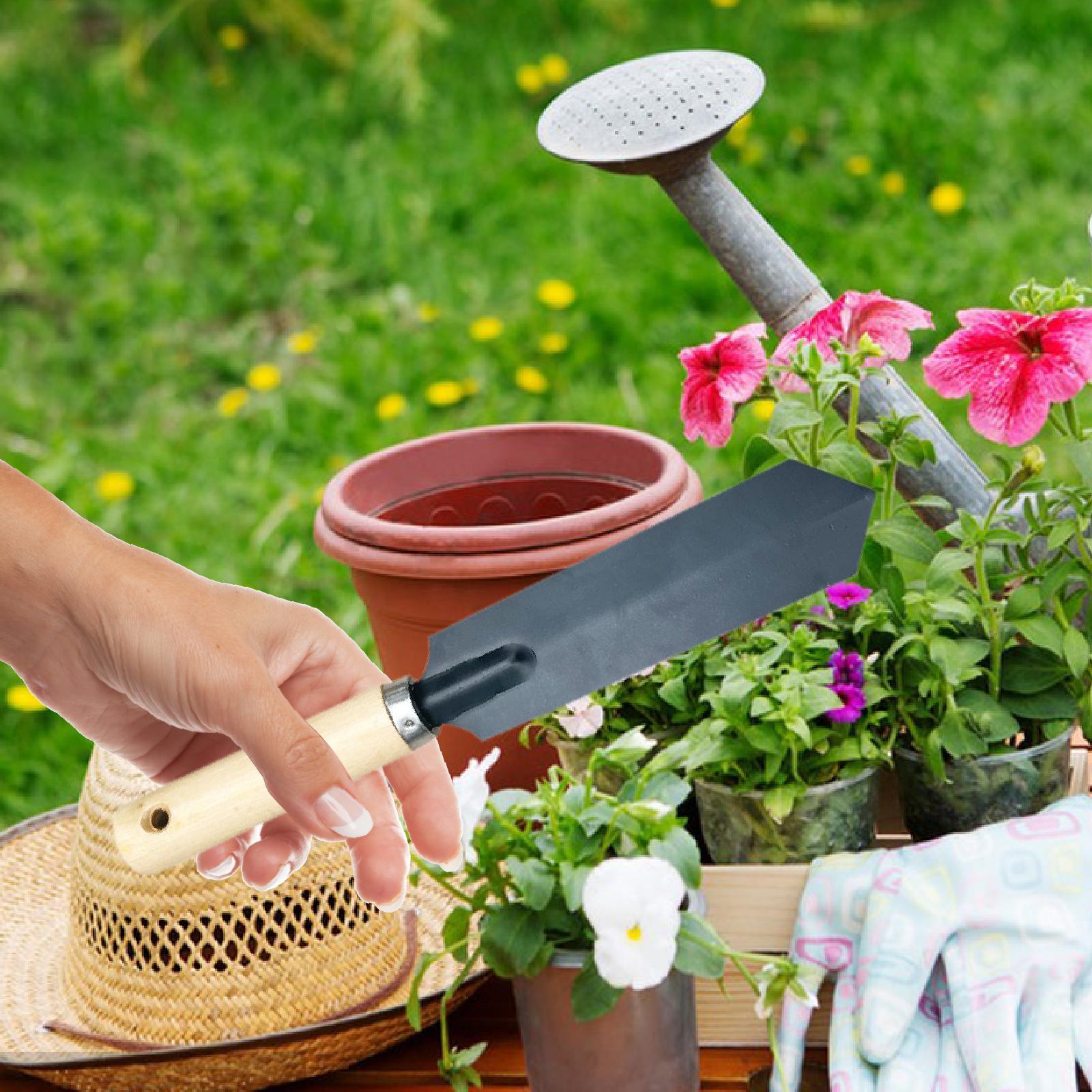Pequena ferramenta de escavaçã - Gardening Tools For Digging avaliação e preço