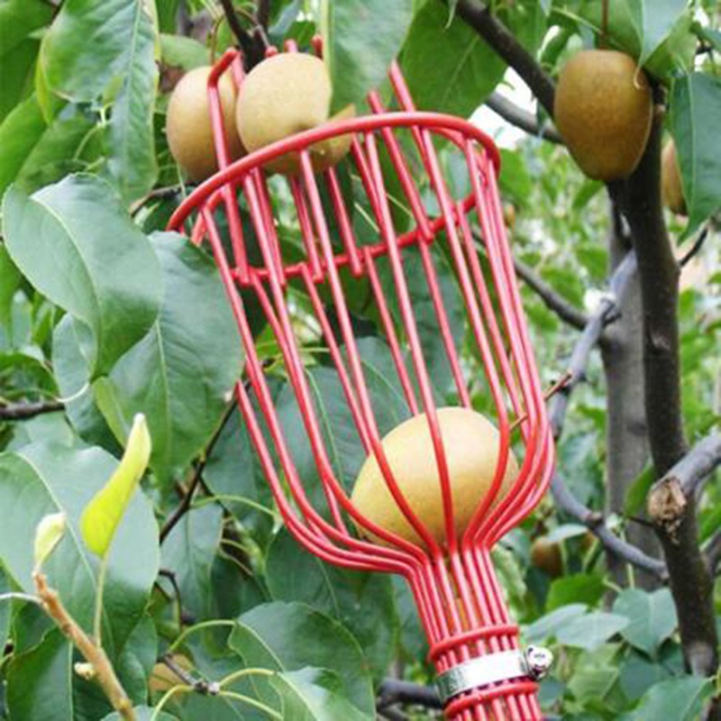 Cabeça de Colhedora de Frutas  - Gardening Tools Basket avaliação e preço