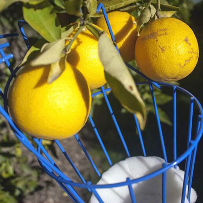 Cabeça de Colhedora de Frutas  - Gardening Tools Basket avaliação e preço