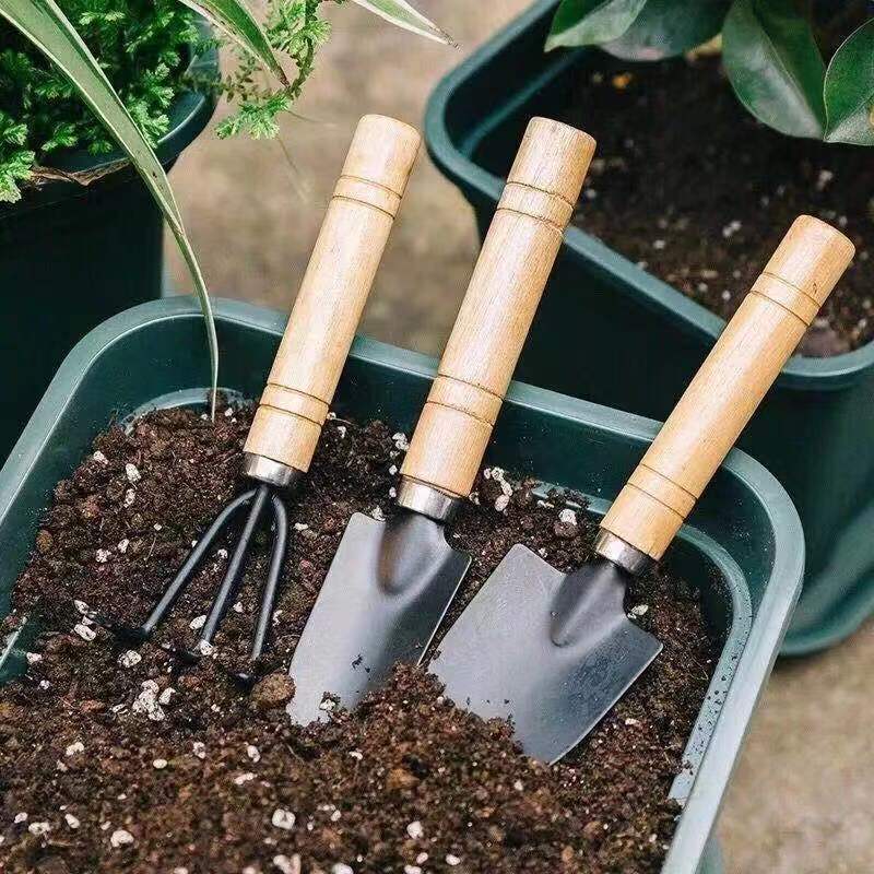 3pc/1 conjunto mini conjunto d - Gardening Tools Spade avaliação e preço