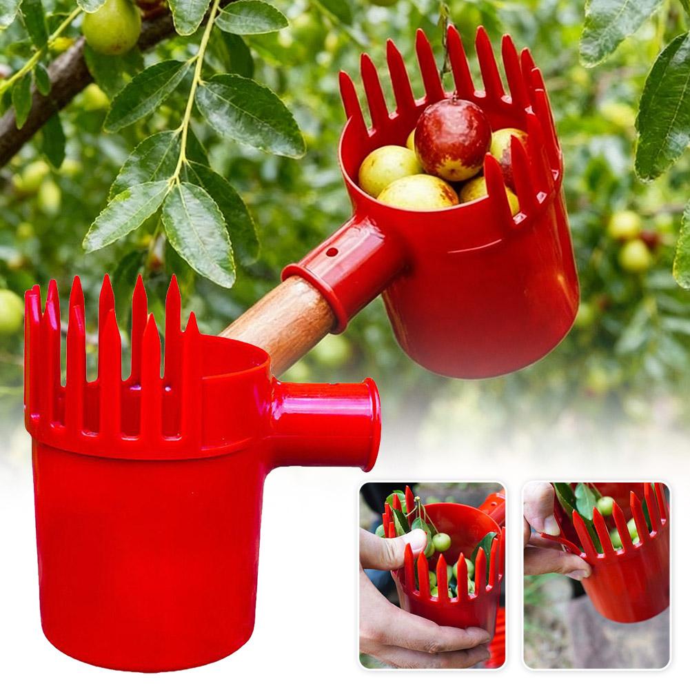 Ferramenta Portátil para Colhe - Gardening Tools Basket avaliação e preço