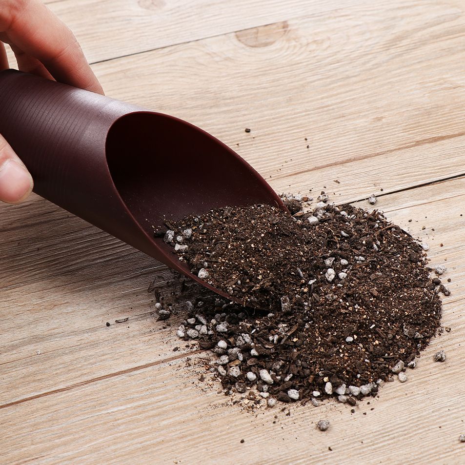 1pc plástico solo pá copo para - Gardening Tools Spade avaliação e preço